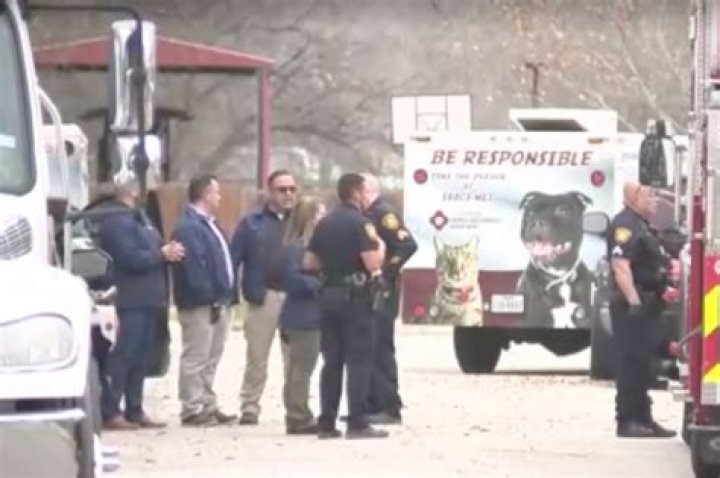 
81-year-old San Antonio man mauled to death by dogs ID’d as Air Force vet 
