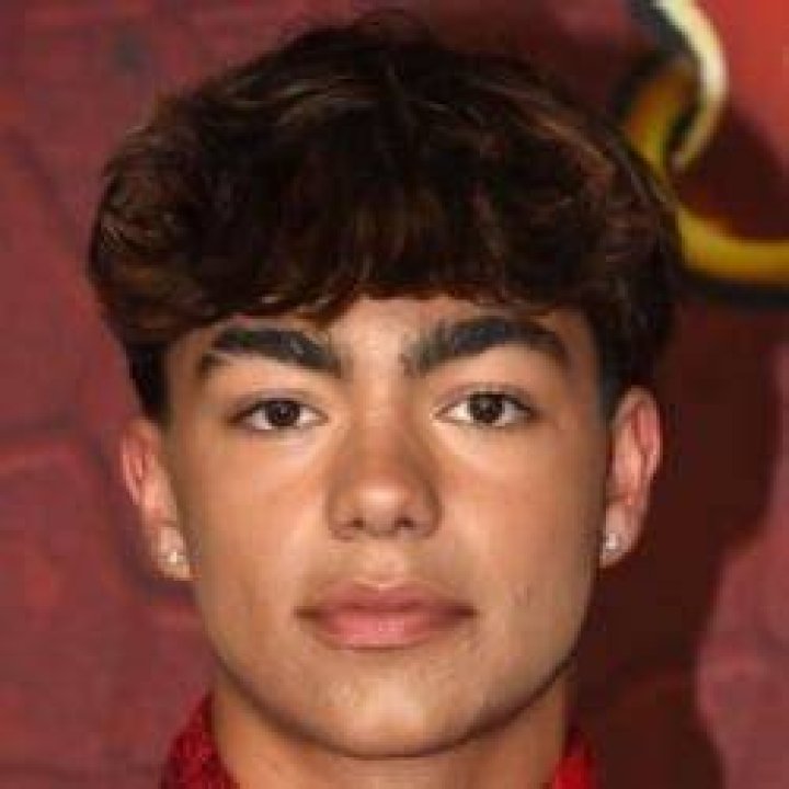 Adamo Bertacchi-Morroni Age, Birthday, Wikipedia, Who, Nationality, Biography