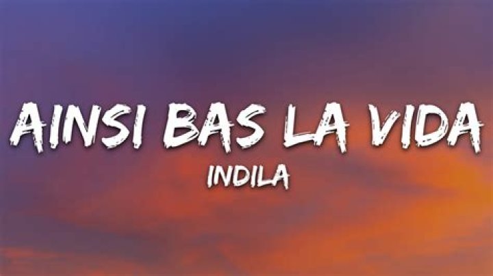 Ainsi Bas La Vida TikTok Meaning And Lyrics Explained What Language Is This Song?