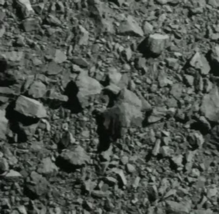 
Don’t look up: NASA to smash spacecraft into asteroid in Earth-saving test run 