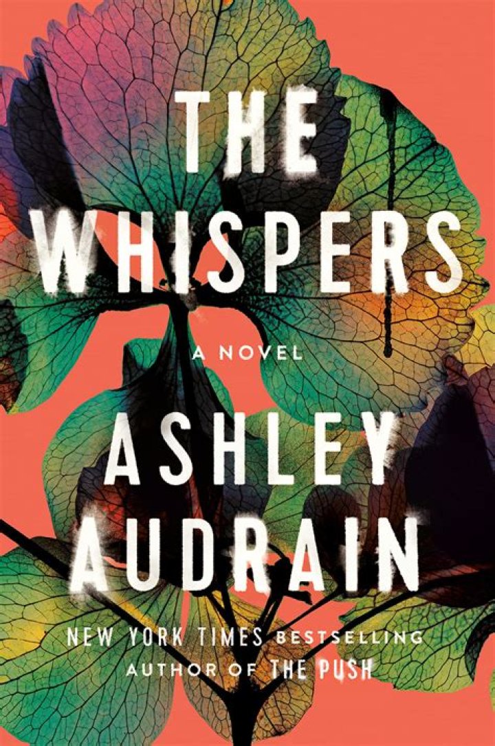 Haleyspaceway Height, Weight, Net Worth, Age, Birthday, Wikipedia, Who, Nationality, Biography