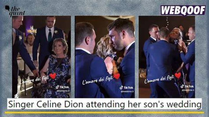 Is the Celine Dion at her son’s wedding video real? Viral TikTok clip debunked
