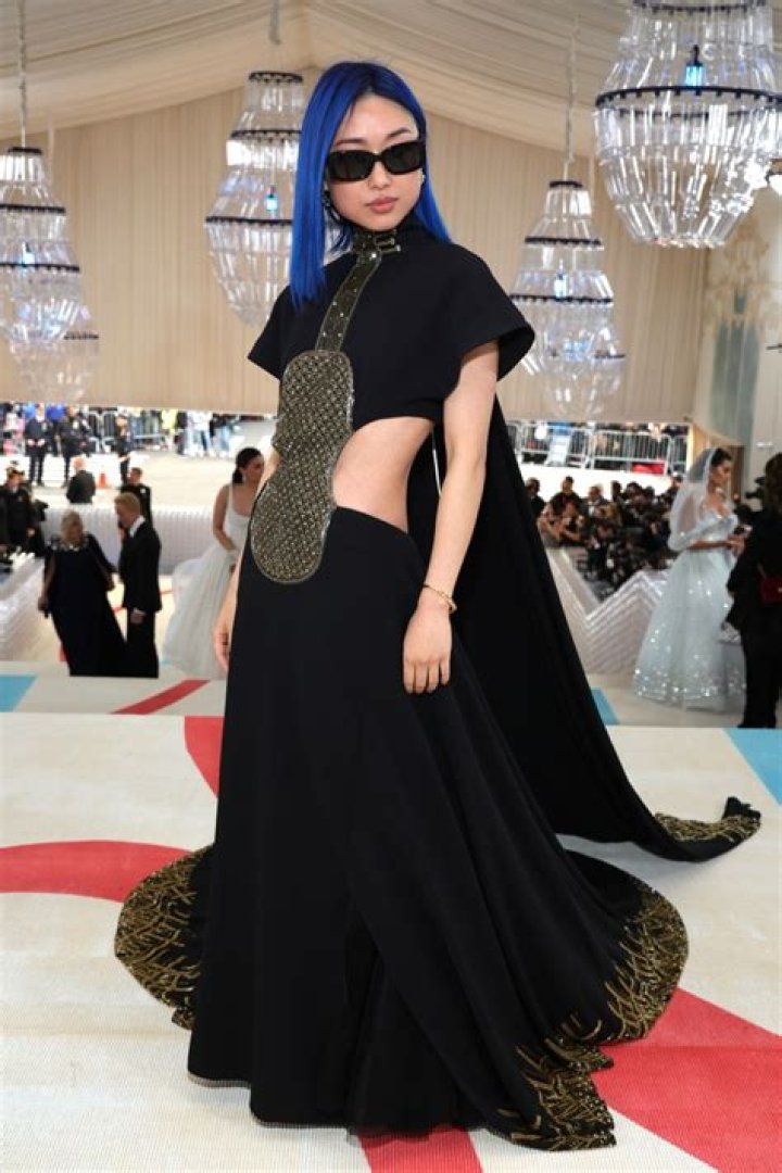 Margaret Zhang, Olivia Wilde wear same violin outfit at Met Gala red carpet 2023, get trolled