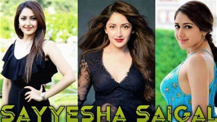 Sayesha Saigal Height, Weight, Net Worth, Age, Birthday, Wikipedia, Who, Instagram, Biography