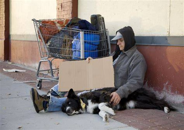 
Waitress Feeds Beggar & His Dog, ‘You Changed My Life’ He Admits Showing Up in Fine Suit – Story of the Day 