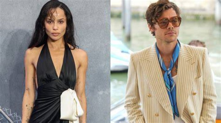 What Happened Between Alexander Wang and Zoe Kravitz? Allegations and Updates