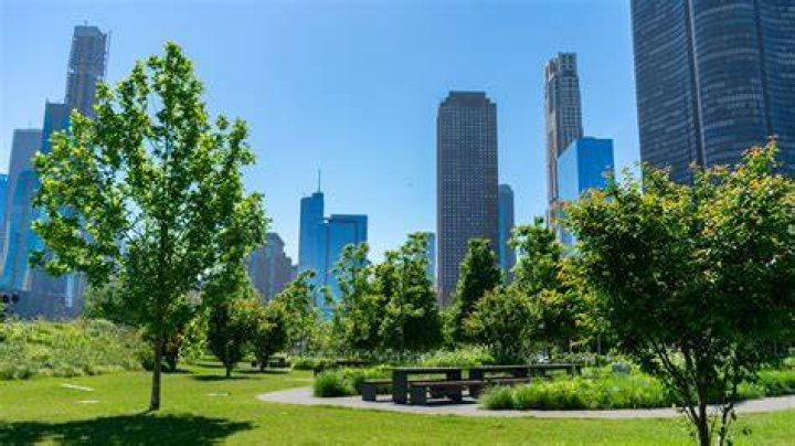 
What Happened To Sania Khan In Chicago Streeterville Shooting? Wedding Photographer Death Rumors 